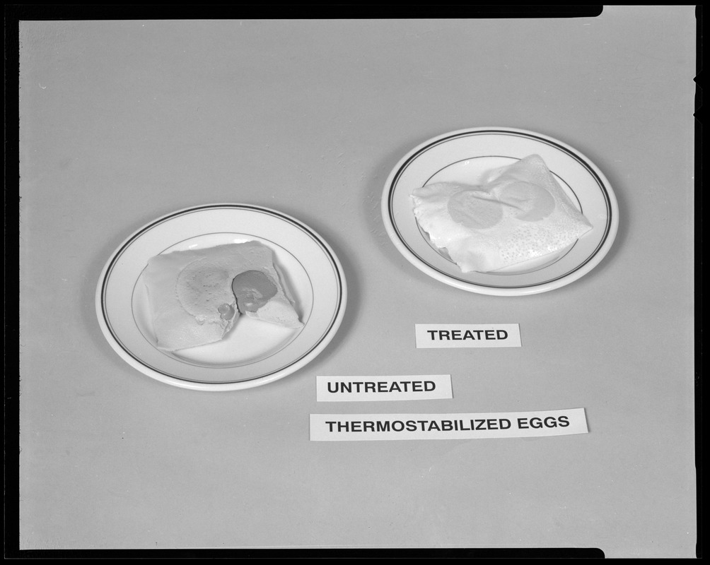 Thermostabilized eggs. Untreated. Treated