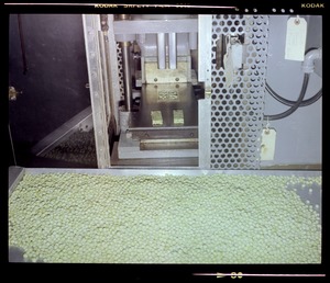 Food lab, freeze drying compressed peas