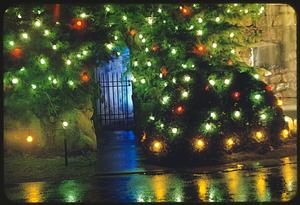 Christmas scene, Blue Hill Cemetery