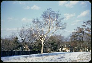 Powder House Park