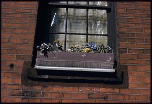 Window and flower box on brick wall, Boston
