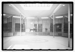 Animals in enclosures including a zebra