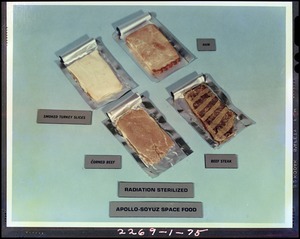 Radiation sterilized Apollo-Soyuz space food