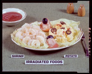 Irradiated foods: shrimp, potato