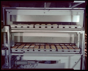 Automated bakery, bread, FEL