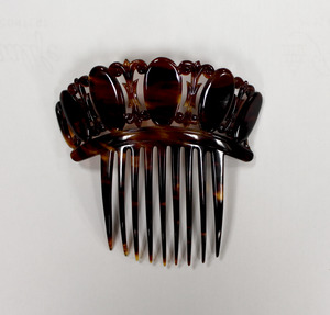 Laura Bridgman's Shell Comb