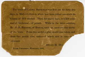 Note about the plaster cast of Laura Bridgman's brain, Henry H. Donaldson, 1890