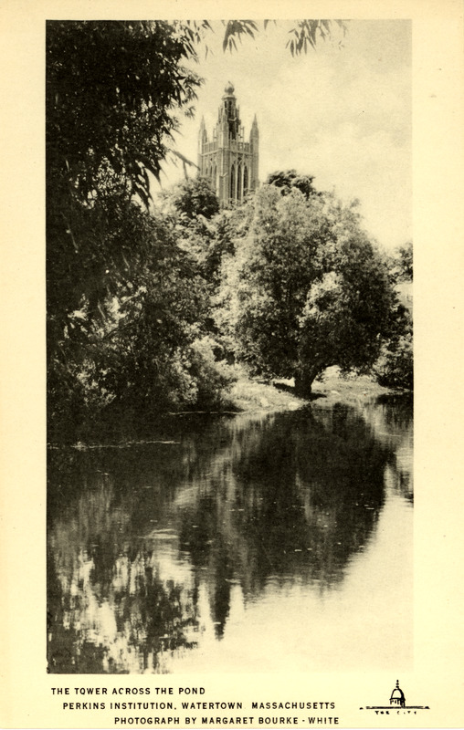 Tower and Trees Reflecting in Pond