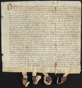 Grant in tail of real property from Johanna Hawkeslowe senior, Walter Lane, and William Reddeberede to Johanna Hawkeslowe junior and Ellen (Hawkeslowe) Palmer