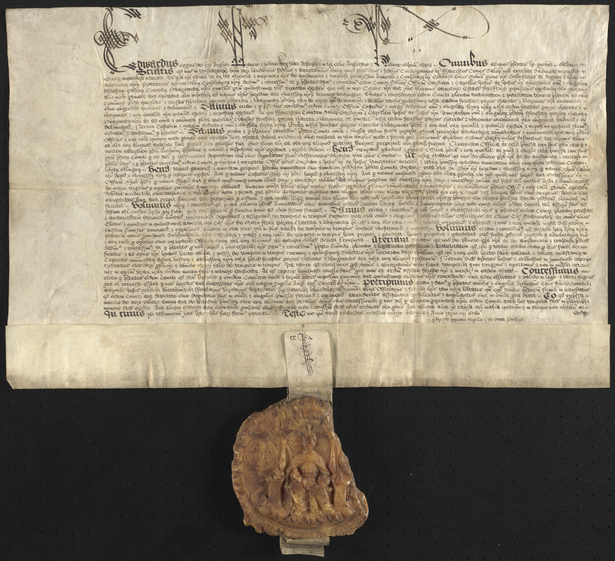 Letters patent, 1548 May 24, granting to Francis, Earl of Shrewsbury, the office of warden, chief justice, and justice itinerant of all forests, parks, chases, and warrens beyond Trent with a yearly salary of £100