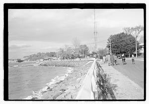 A group of young women walking by the water