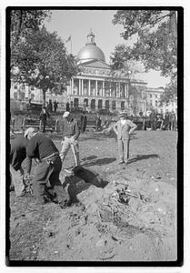 Tree removal