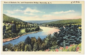 View of Shohola, Pa., and suspension bridge, Barryville, N. Y.