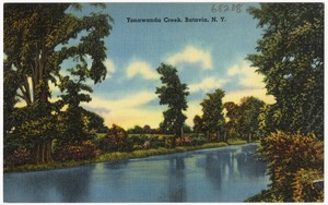 Tonawanda Creek, Batavia, N. Y.