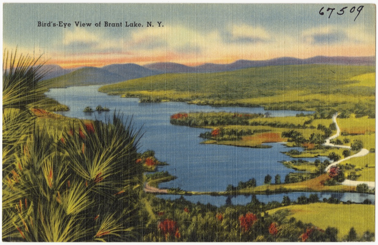 Bird's-eye view of Brant Lake, N. Y.