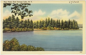 Pine Point, East Caroga Lake, N. Y.