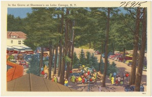 In the grove at Sherman's on Lake Caroga, N. Y.