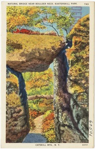 Natural Bridge near Boulder Neck, Kaaterskill Park, Catskill Mts., N. Y.