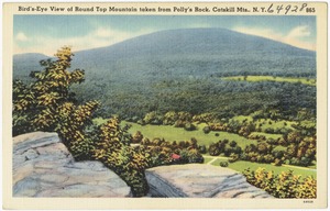 Bird's-eye view of Round Top Mountain taken from Polly's Rock, Catskill Mts., N. Y.