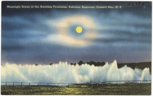 Moonlight scene at the aerating fountains, Ashokan Reservoir, Catskill Mts., N. Y.