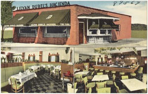 Lilyan Dubel's Hacienda