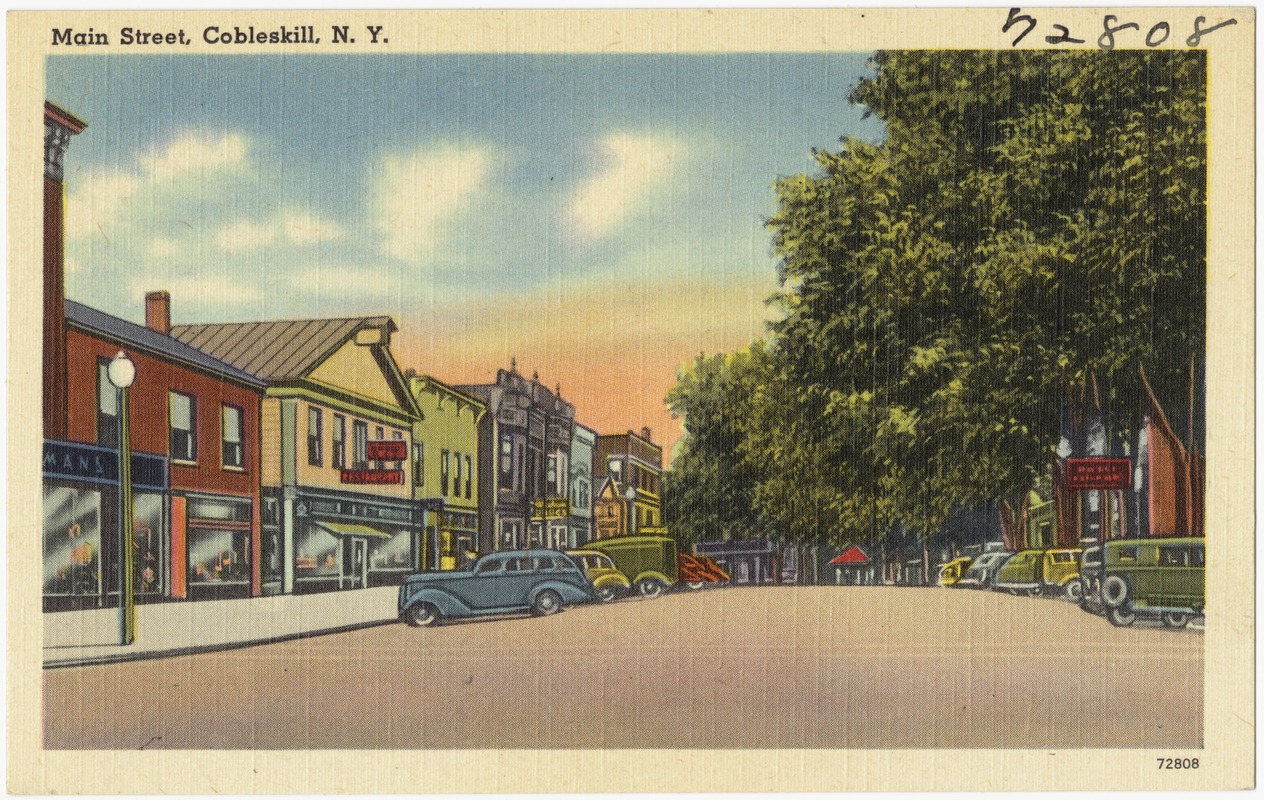 Main Street, Cobleskill, N. Y.