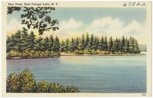 Pine Point, East Caroga Lake, N. Y.