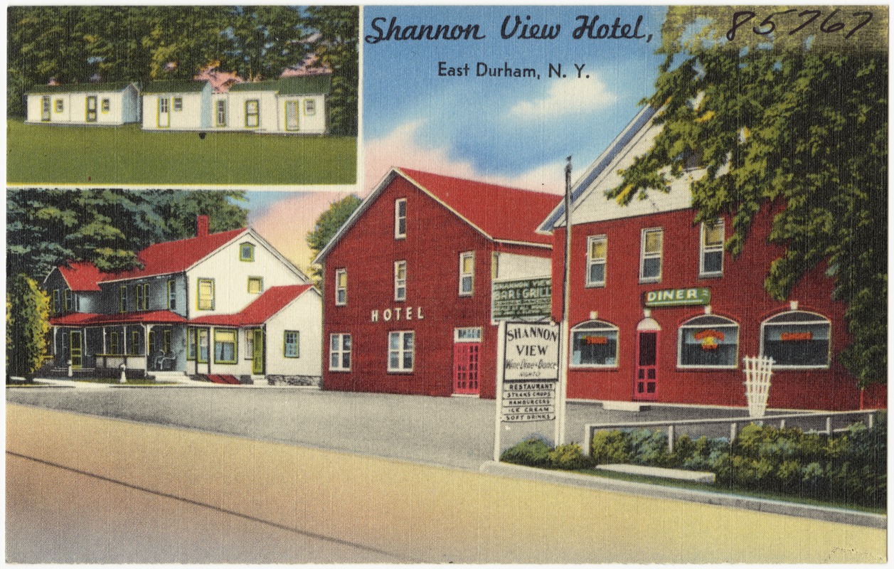 Shannon View Hotel, East Durham, N. Y.