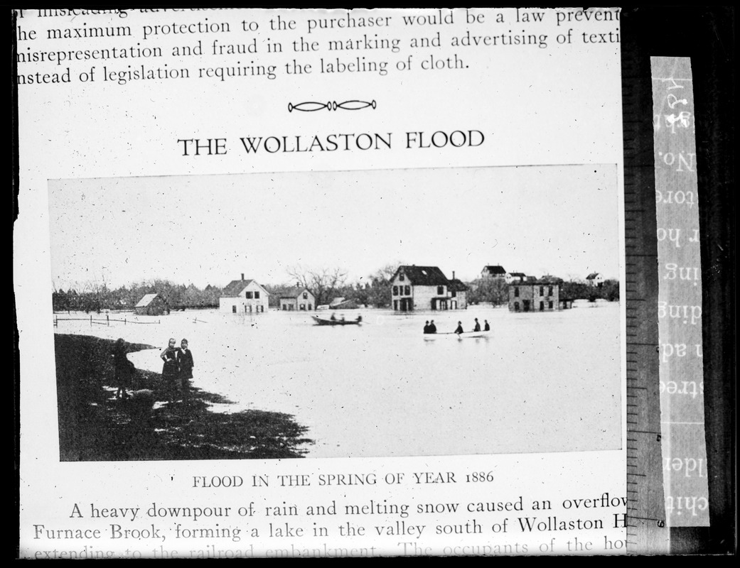 Flood (1886) Wollaston