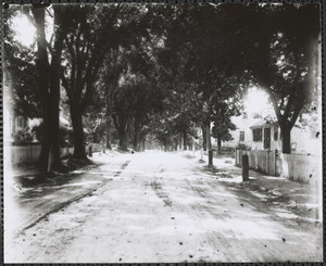 198 Old King's Highway on right (looking west)