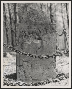 Tombstone of John Hall, died 14 December 1801, located in Small Pox Cemetery, Yarmouth Port, Mass.
