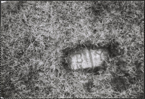 Ground Marker "B/Y" on Coleman property showing boundry between Barnstable and Yarmouth