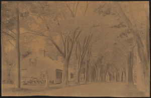 View of Old King's Highway, Yarmouthport, Mass. looking west