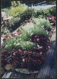 Garden at Bangs Hallet House