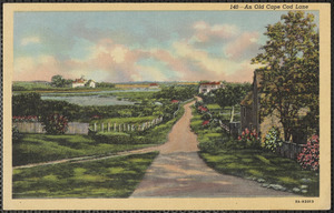 A view on the King's Highway on the north side of Cape Cod at Yarmouthport, Mass.