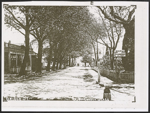 Bridge St., South Yarmouth, Mass.