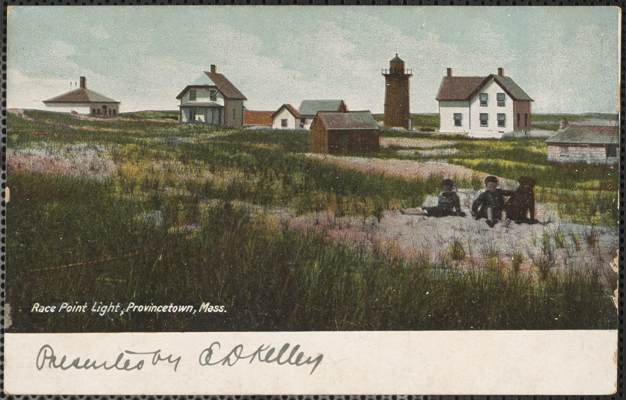 Race Point Light