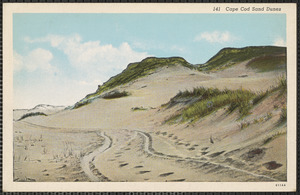 Cape Cod sand dunes