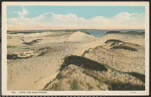 Cape Cod sand dunes