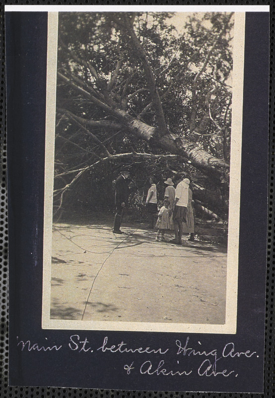 Damage from the gale of August 1924, Main Street, South Yarmouth, Mass., between Wing Ave. & Akin Ave.