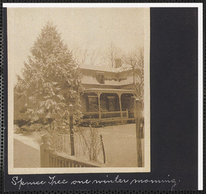 Stephen Wing residence and spruce tree, one winter morning, South Yarmouth, Mass.