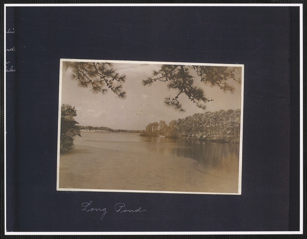Winter view of Long Pond, South Yarmouth, Mass. Digital Commonwealth