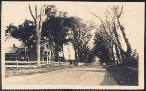 194 Center Street, road below the cemetery in Yarmouth Port, Mass.