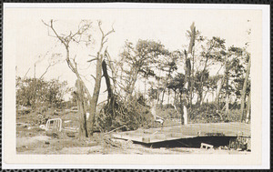 Parker's River cottages after 1944 hurricane