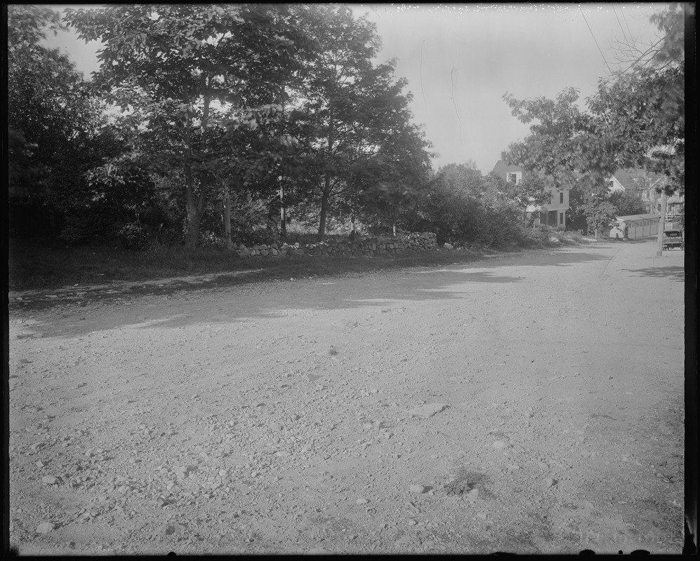 Vacant lot between 19 and 43 Gordon St. view looking SWly, Sept. 23, 1933 Digital Commonwealth