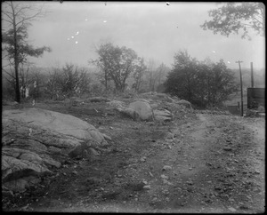 Olive Ave., Oct. 8, 1908