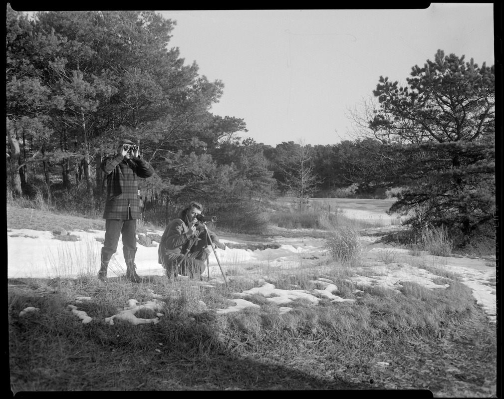 Mass Audubon Society South Wellfleet Sanctuary Digital Commonwealth Mass Audubon Society South Wellfleet Sanctuary Digital Commonwealth