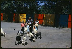 People and goats in a zoo