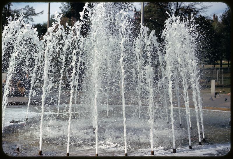 Frog Pond, Boston Common