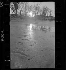 Ice on Bartlett Mall